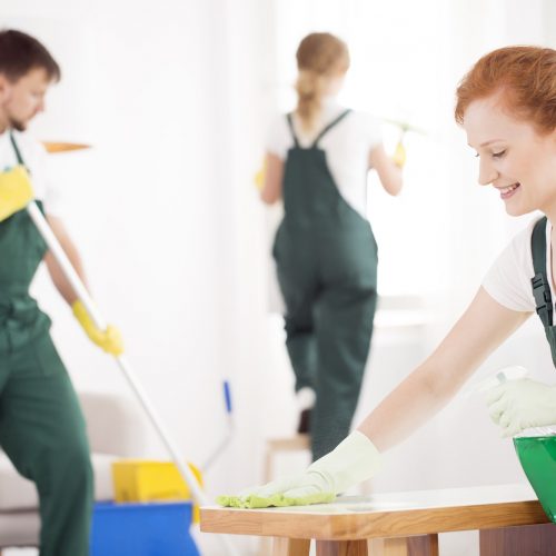 cleaning-service-during-work.jpg